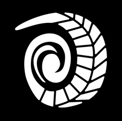 Luxury Adventure Cab Santa teresa Costa Rica