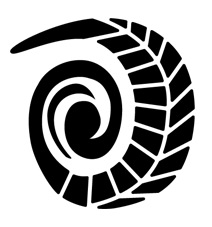 Luxury Adventure Cab